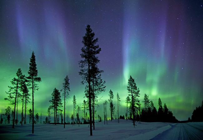 Bắc cực quang xuất hiện vào sáng sớm ở Vòng Bắc Cực. Ánh sáng màu xanh đẹp mắt này là một hiện tượng quang học sinh ra do sự tương tác của các hạt mang điện tích từ gió mặt trời với tầng khí quyển bên trên của hành tinh.
