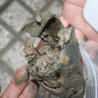 Tin tức trong ngày - Mặt đường phụt lửa ở TPHCM: Kết luận trái chiều