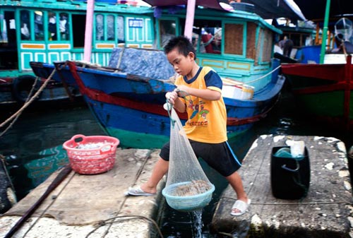 Những đứa trẻ bị thất học, vất vưởng nơi bến cá - 2