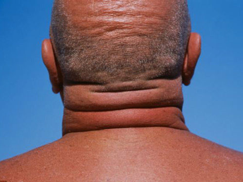 Tiết lộ khả năng “chăn gối” qua vòng cổ - 1