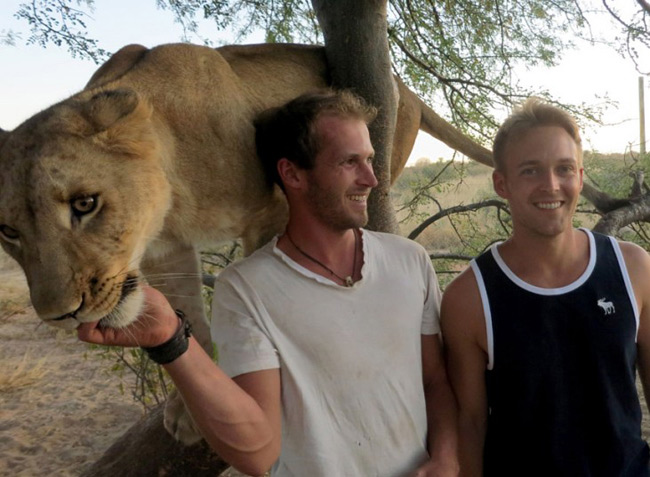 Valentin Gruener và Mikkel Legarth vui vẻ bên cạnh một con sư tử cái.
