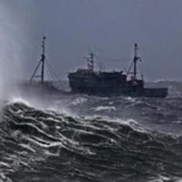 Tin tức trong ngày - 14 ngư dân Quảng Ngãi mất tích trên biển