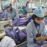 Thị trường - Tiêu dùng - “Yếu bóng vía”: Doanh nghiệp Việt hại mình