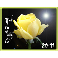 Truyện cười mùa thi - Tuyển chọn lời chúc 20-11 hay nhất (7)