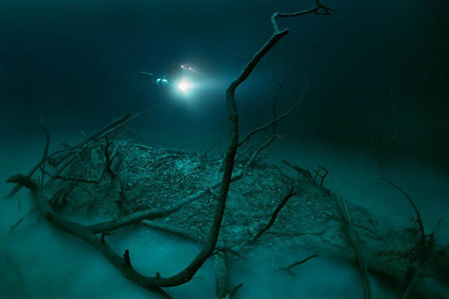 Bí ẩn dòng sông ngầm dưới đáy biển - 1