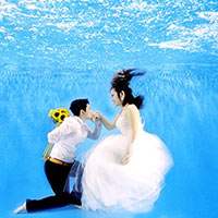 Ảnh cưới dưới nước của đôi đồng tính