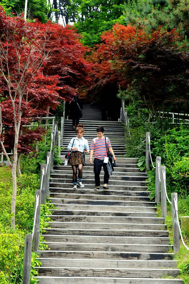 Busan có rất nhiều cây xanh và một không gian tươi xanh, yên bình.
