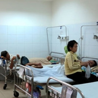 Sức khỏe đời sống - Đà Nẵng: Bệnh sốt xuất huyết diễn biến phức tạp