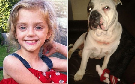 Bé gái 4 tuổi bị chó bull cắn xé đến chết - 1