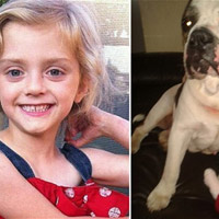 Sức khỏe đời sống - Bé gái 4 tuổi bị chó bull cắn xé đến chết