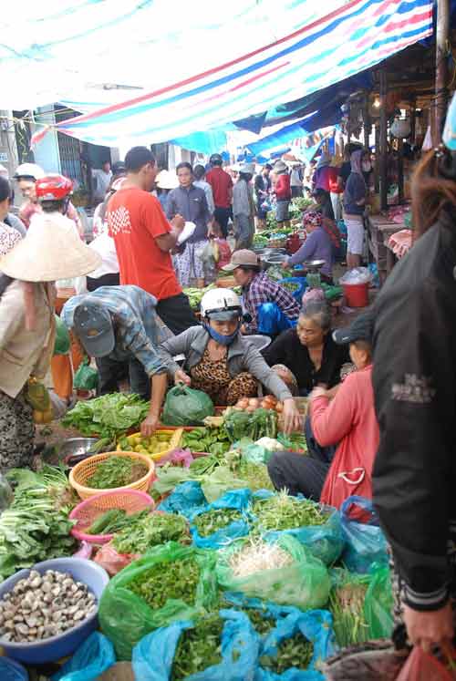 Lo siêu bão, dân đổ xô đi mua hàng dự trữ - 7