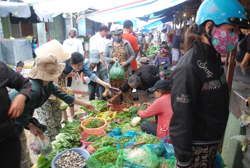 Lo siêu bão, dân đổ xô đi mua hàng dự trữ - 8