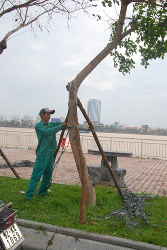 bao haiyan do bo mien trung