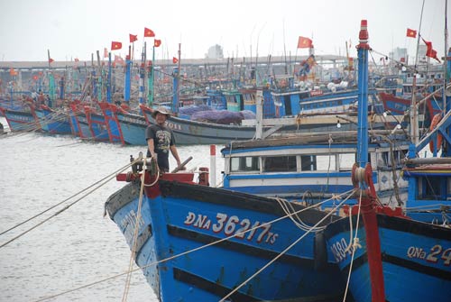 Toàn cảnh siêu bão Haiyan qua ảnh - 6
