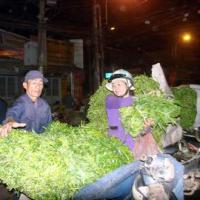 Thị trường - Tiêu dùng - Rau sạch "đầu hàng" ngay từ chợ đầu mối