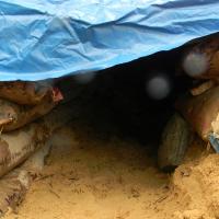 Tin tức trong ngày - Cuộc chạy bão lớn nhất trong 10 năm qua