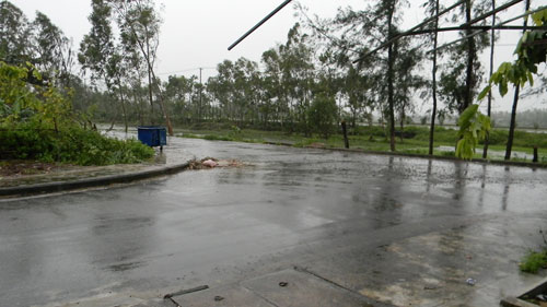 Trực tiếp: Bão Haiyan áp sát Hải Phòng, Quảng Ninh - 29