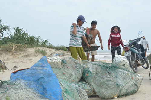 Trực tiếp: Bão Haiyan áp sát Hải Phòng, Quảng Ninh - 23