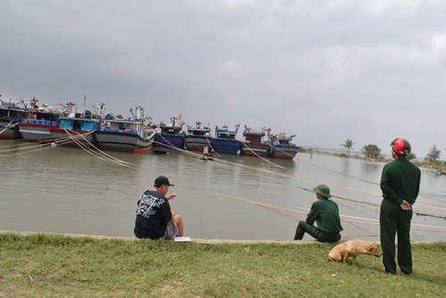 Trực tiếp: Bão Haiyan áp sát Hải Phòng, Quảng Ninh - 20