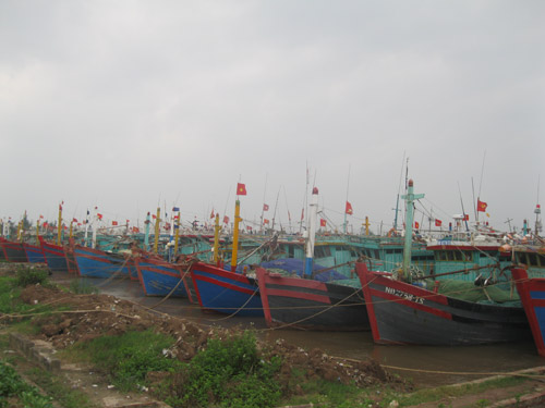 Trực tiếp: Bão Haiyan áp sát Hải Phòng, Quảng Ninh - 18