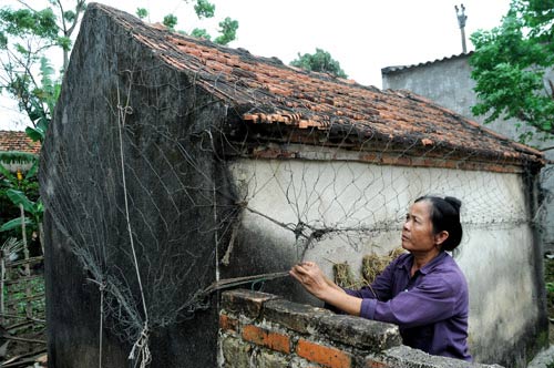 Trực tiếp: Bão Haiyan áp sát Hải Phòng, Quảng Ninh - 16