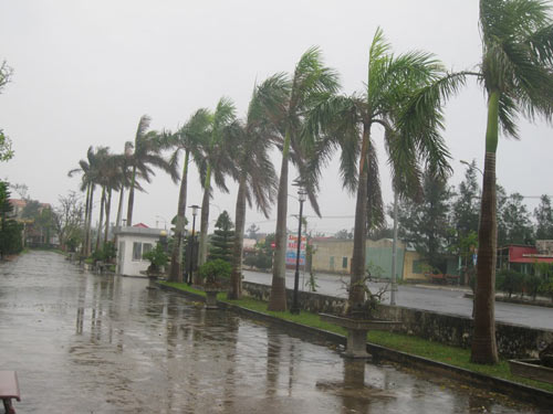 Trực tiếp: Bão Haiyan áp sát Hải Phòng, Quảng Ninh - 13