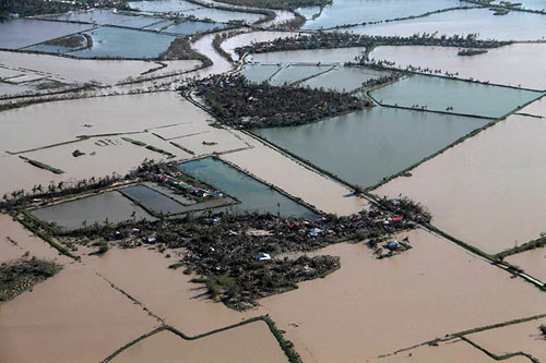 Cảnh tang thương sau bão Haiyan ở Philippines - 14