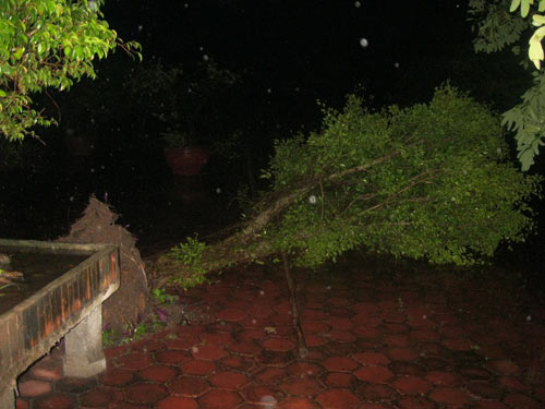 Toàn cảnh siêu bão Haiyan qua ảnh - 16