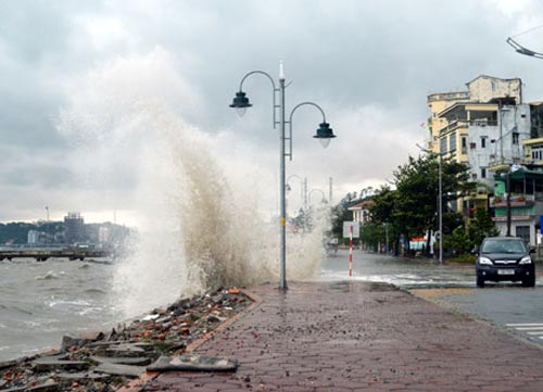 Toàn cảnh siêu bão Haiyan qua ảnh - 21