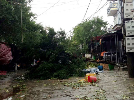 Toàn cảnh siêu bão Haiyan qua ảnh - 13