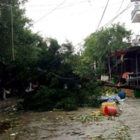 Tin tức trong ngày - "Nhà báo tử nạn: Không thể là liệt sĩ"