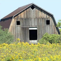 Phi thường - kỳ quặc - Sửng sốt những "khuôn mặt biết nói"