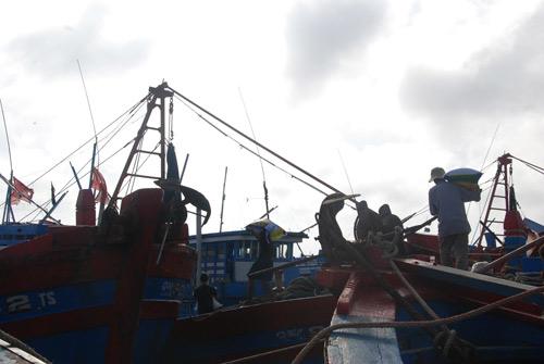 Chùm ảnh: Ngư dân miền Trung vươn khơi sau bão - 4