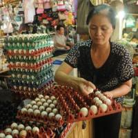 Thị trường - Tiêu dùng - Trứng gà giảm giá sâu, người nuôi lo ứ hàng