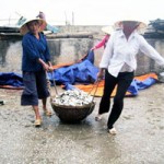 Tin tức trong ngày - Làng có 142 góa phụ: Tang thương đất biển