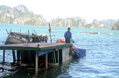 Sau bão, xác tàu, lồng bè vây vịnh Bái Tử Long - 6