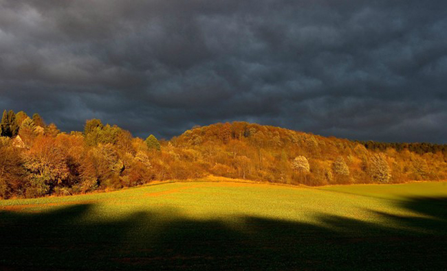 Những đám mây đen bao phủ một khu rừng đang chìm trong sắc thu vàng ở gần Goettingen, Đức.
