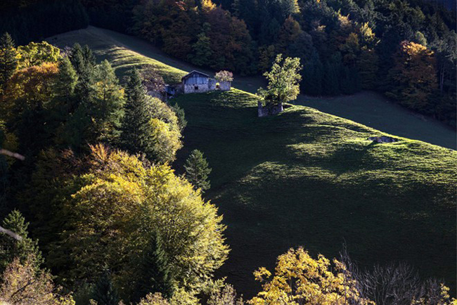 Ánh sáng mặt trời dịu nhẹ của mùa thu tại ngôi làng Maienfeld, Canton Grisons, phía đông Thuỵ Sĩ. 
