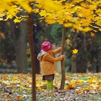 Du lịch - Sắc thu mê hoặc lòng người