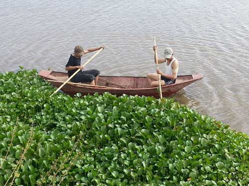 Vụ BS ném xác: Chỉ mong nước sông Hồng cạn bớt! - 3