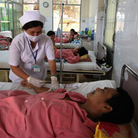 Sức khỏe đời sống - Bệnh nhân mắc sốt xuất huyết giảm tiểu cầu tăng vọt