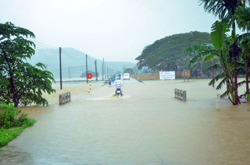 Bình Định: Một người chết do áp thấp nhiệt đới - 1