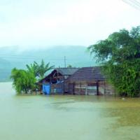 Tin tức trong ngày - Bình Định: Một người chết do áp thấp nhiệt đới