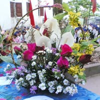 Giáo dục - du học - Bộ GD không nhận hoa ngày Nhà giáo Việt Nam