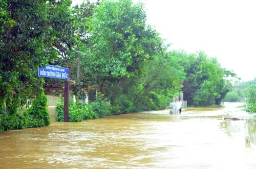 Bình Định: Đã có 4 người chết, mất tích do lũ - 3