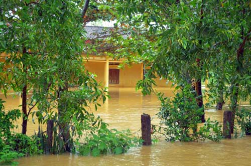 Bình Định: Đã có 4 người chết, mất tích do lũ - 4