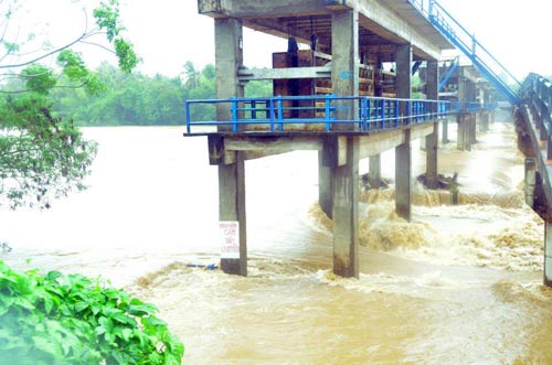 Bình Định: Đã có 4 người chết, mất tích do lũ - 7