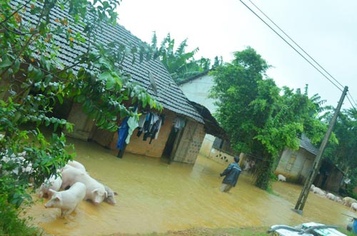 Bình Định: Đã có 4 người chết, mất tích do lũ - 8