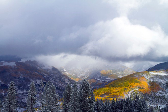 Những tia nắng mặt trời làm nổi bật rừng cây Aspen đầy màu sắc, như thể chúng đang toả sáng giữa những đám mây trong một cơn bão tuyết.
