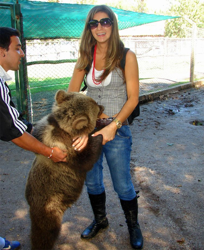 Hình ảnh du khách chụp hình với những chú gấu
